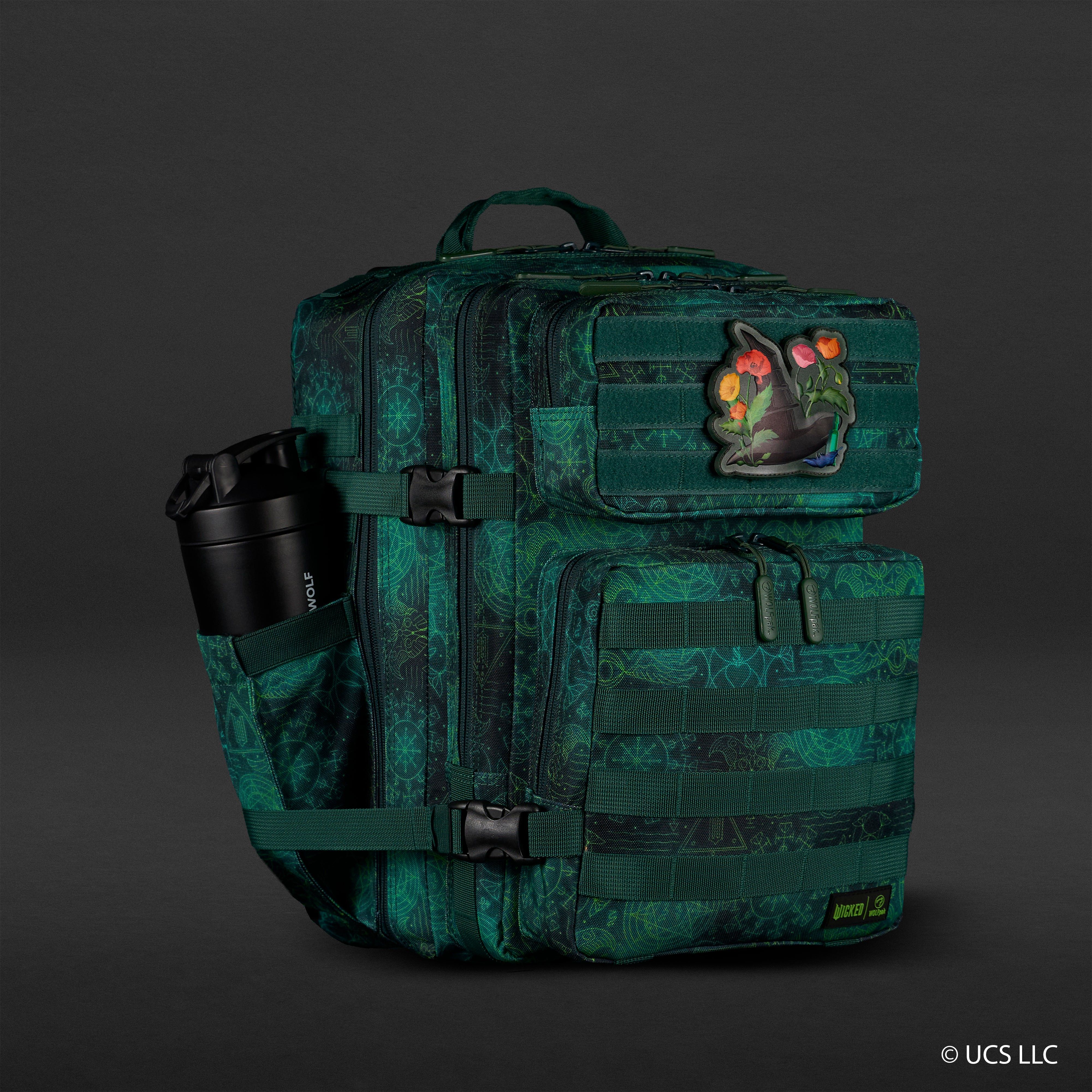 35L Backpack WICKED Elphaba Sale - Image 5