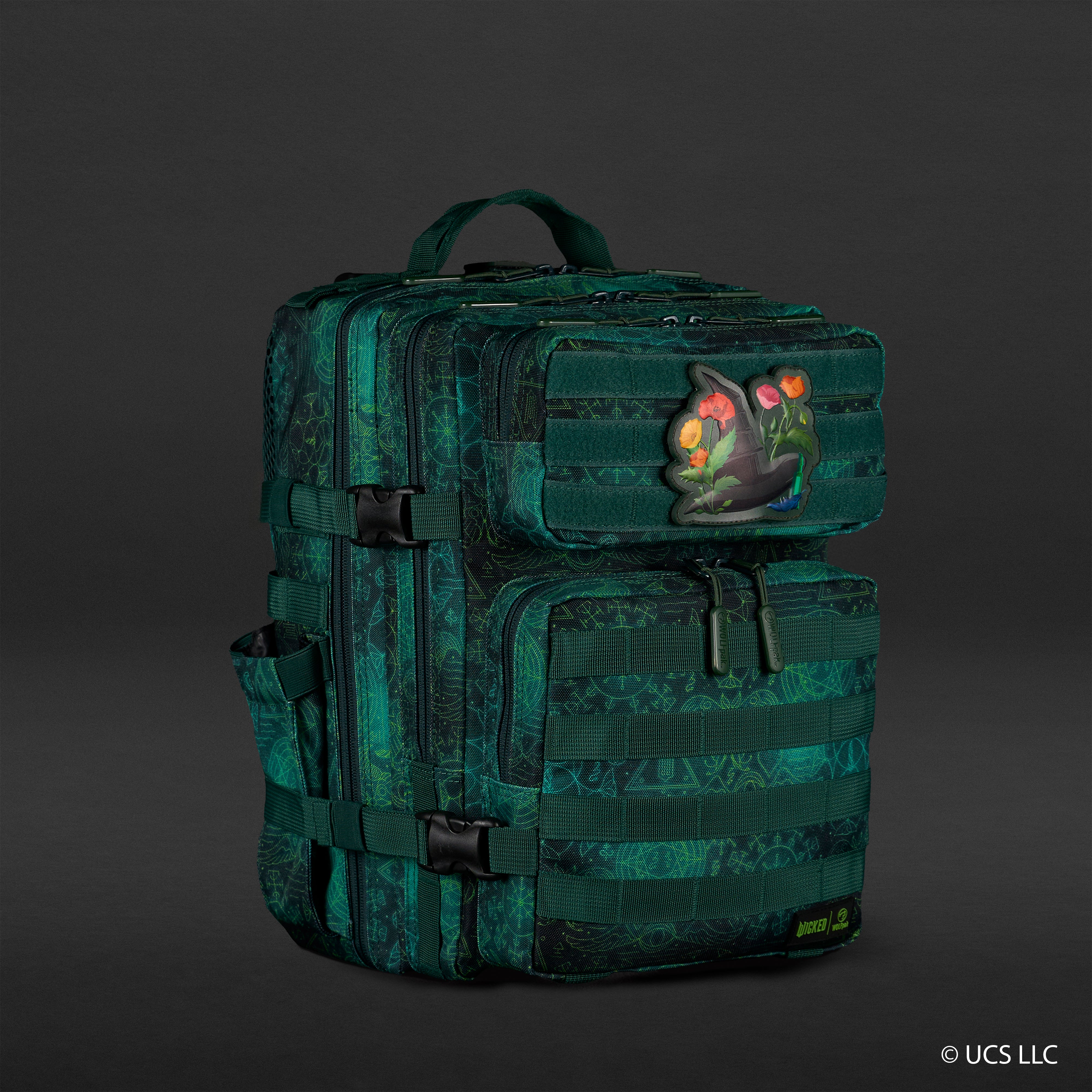 35L Backpack WICKED Elphaba Sale - Image 9
