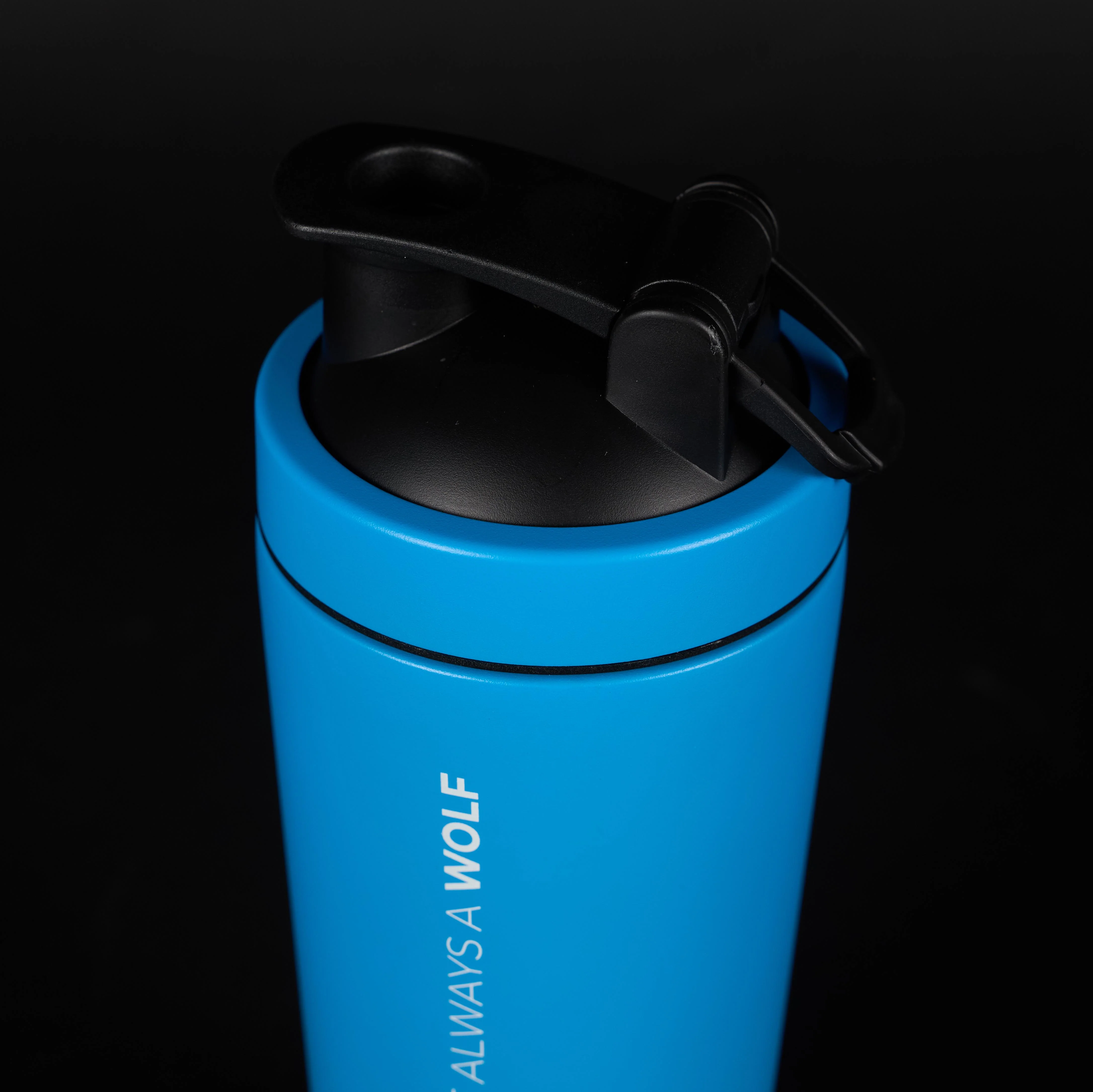 Blue Shaker - Image 7