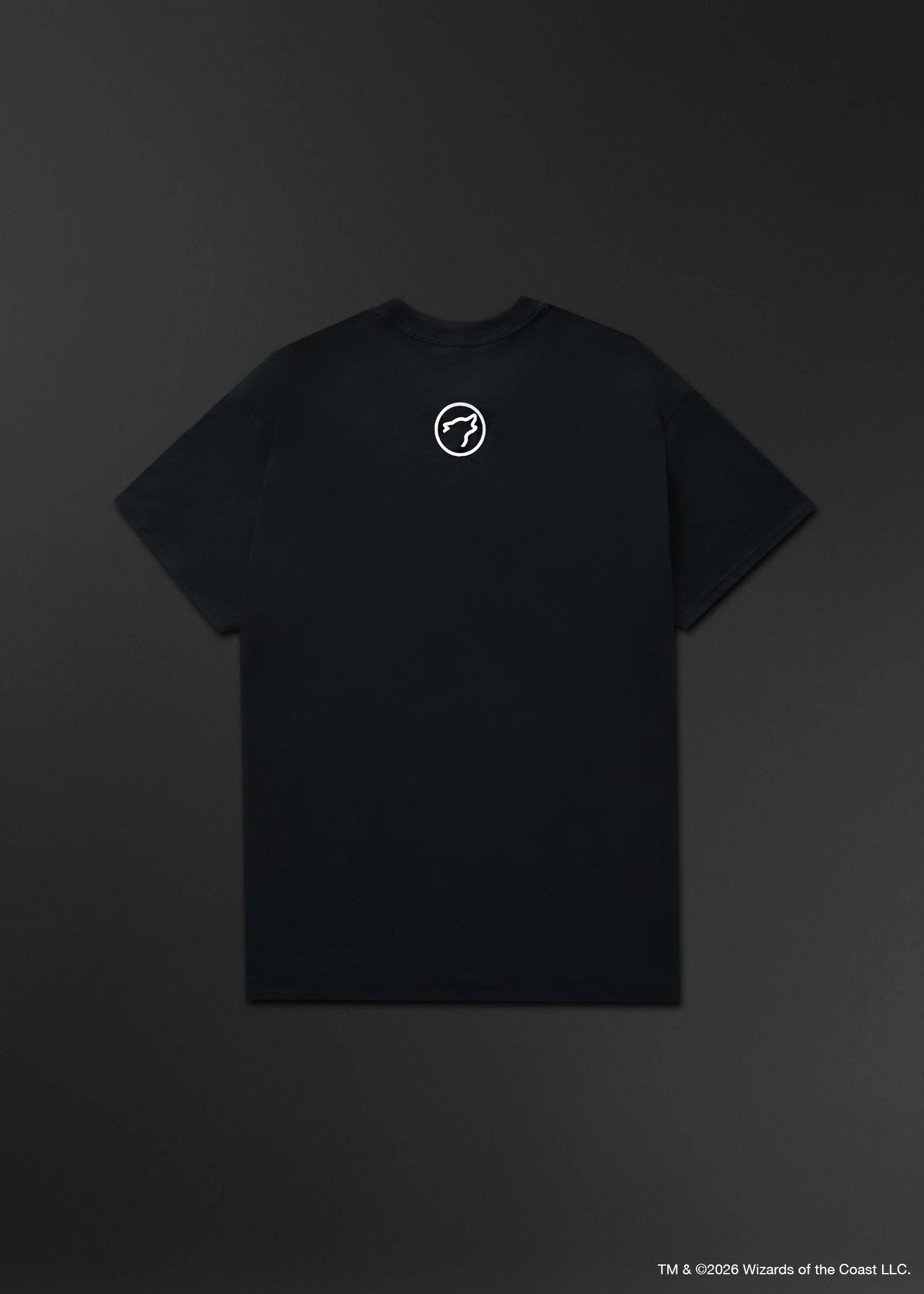 Dungeons and Dragons Secrets Graphic T-Shirt - Image 2