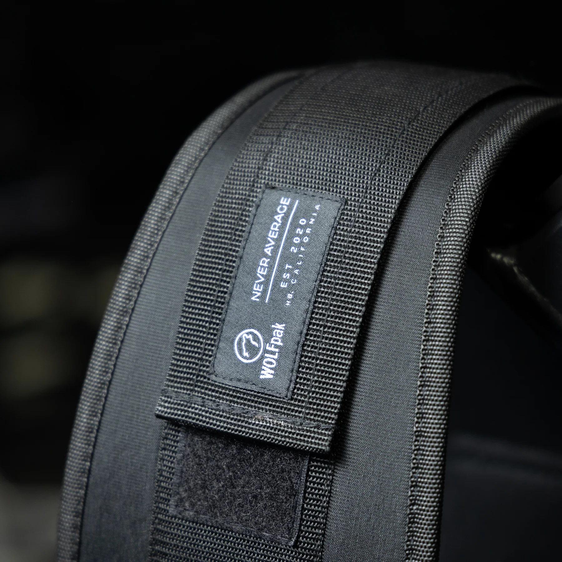 Lifting Belt - Image 4