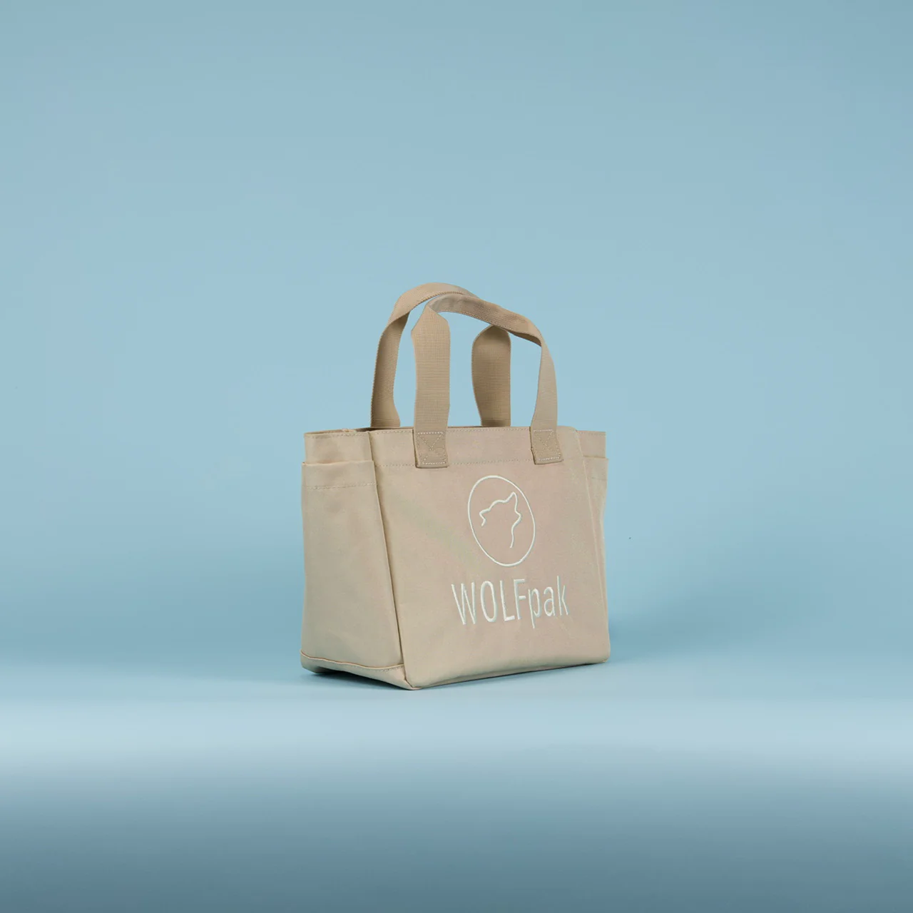 Mini Tote Bag Neutral Sale - Image 3