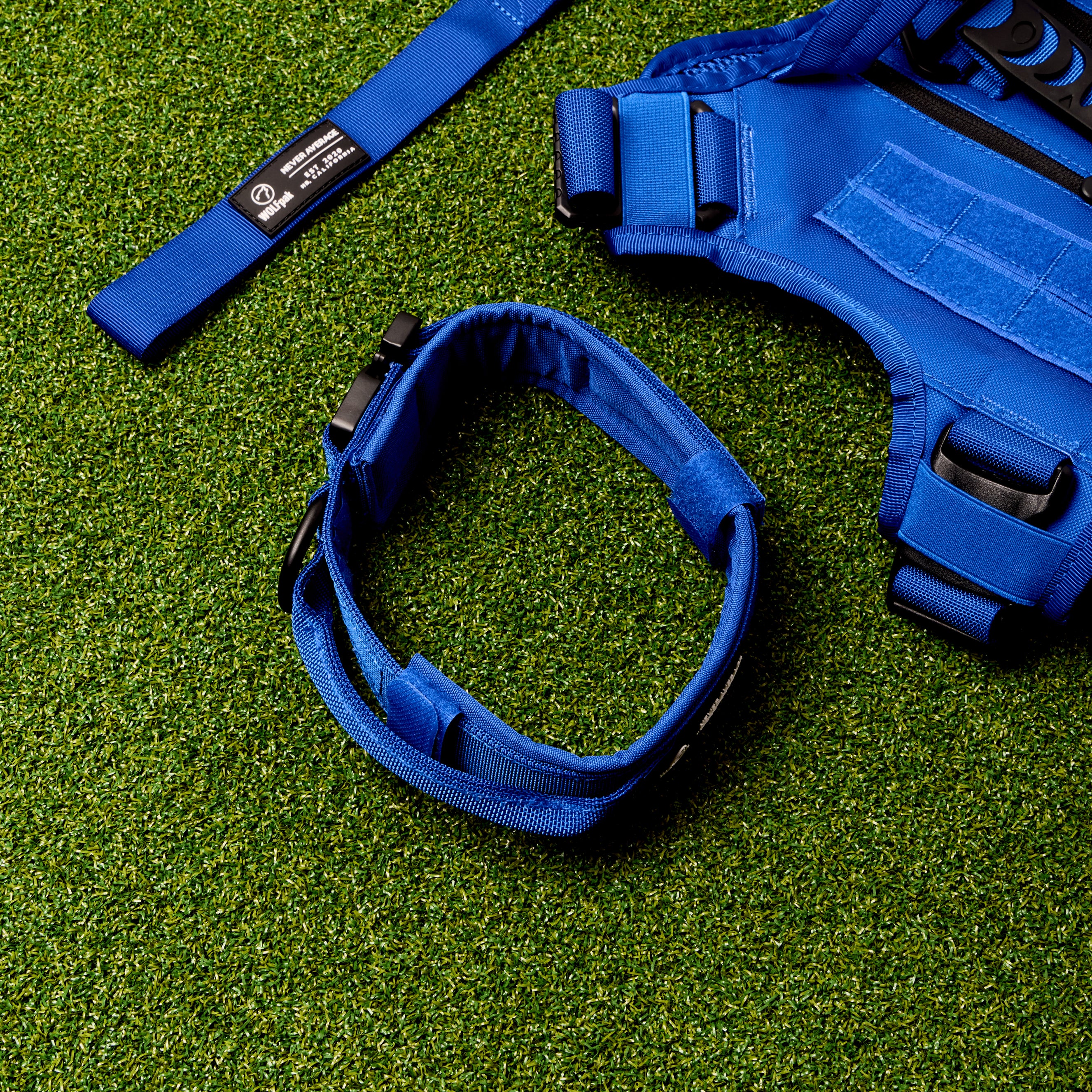 WOLFpup Bundle Blue - Image 2
