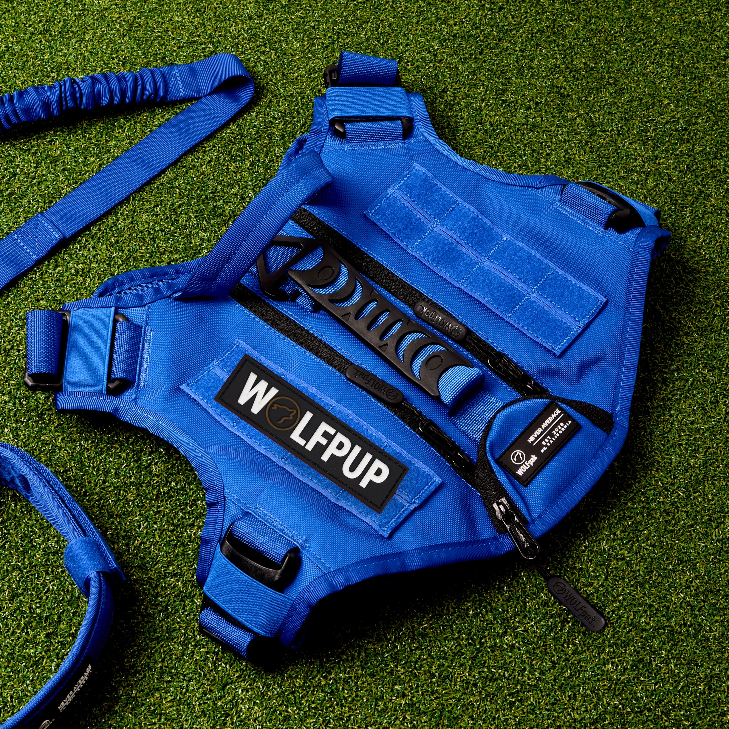 WOLFpup Bundle Blue - Image 3