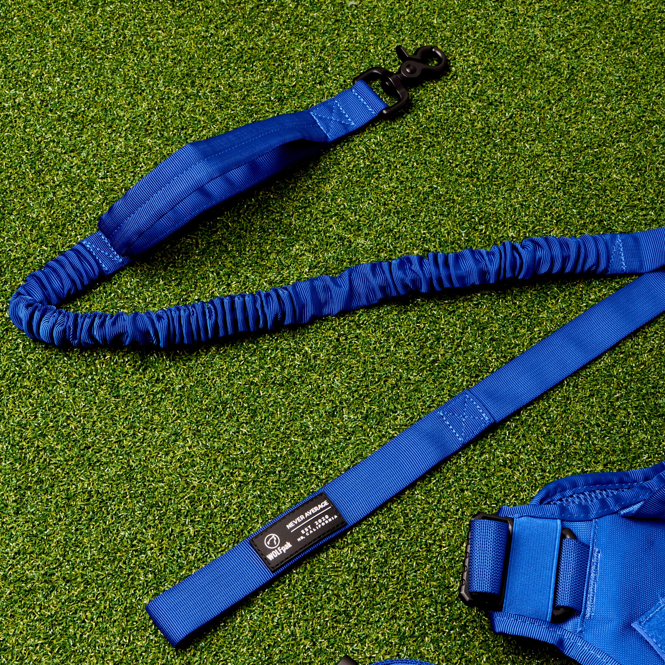 WOLFpup Bundle Blue - Image 4